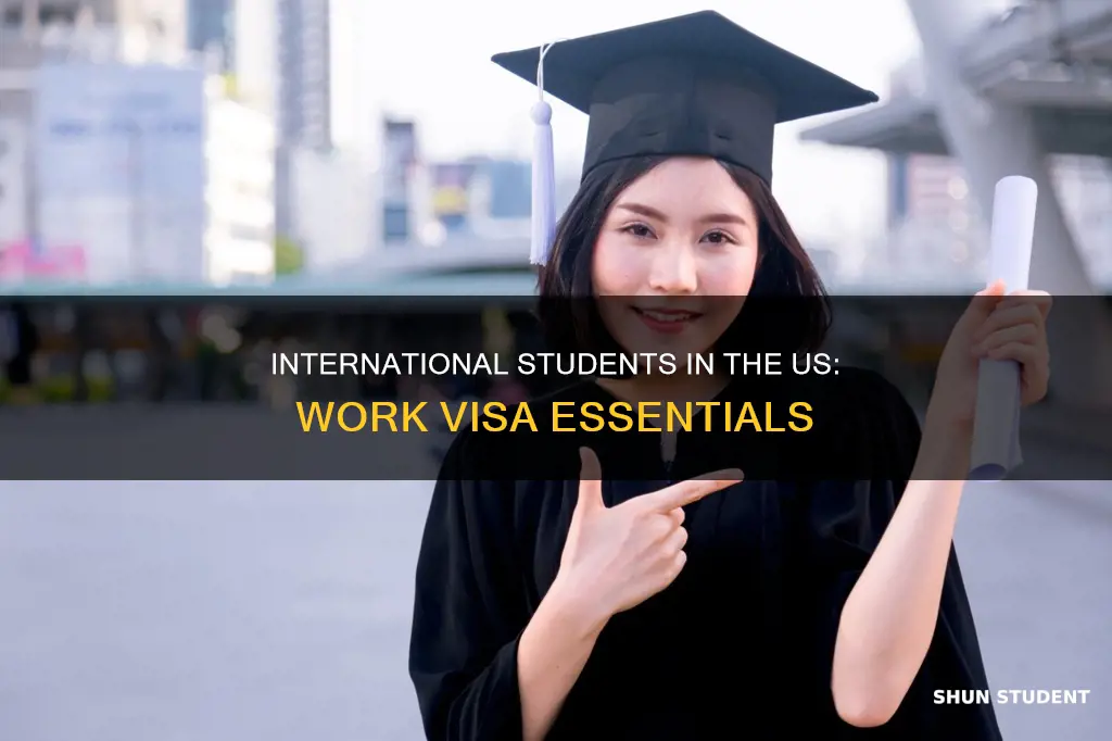 what do international students in the us need to work