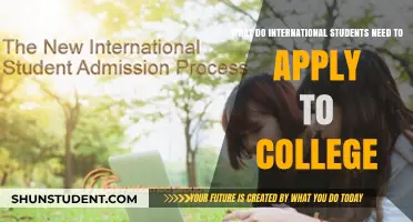 International Students: College Application Essentials
