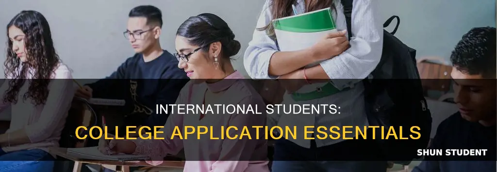 what do international students need to apply to college