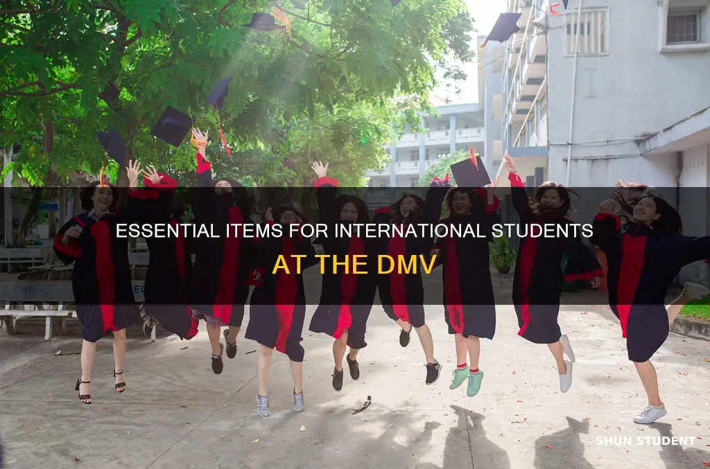 what do international students need to bring at the dmv