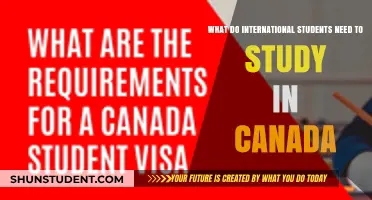 Essential Guide for International Students Studying in Canada