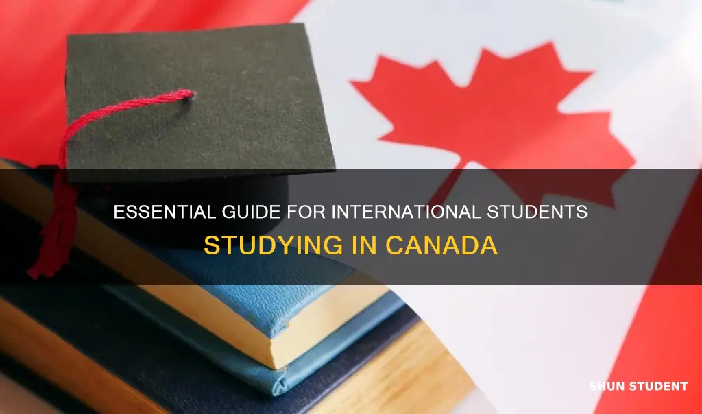 what do international students need to study in canada