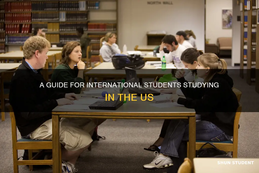 what do international students need to study in the us