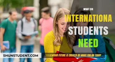 Essentials for Success as an International Student