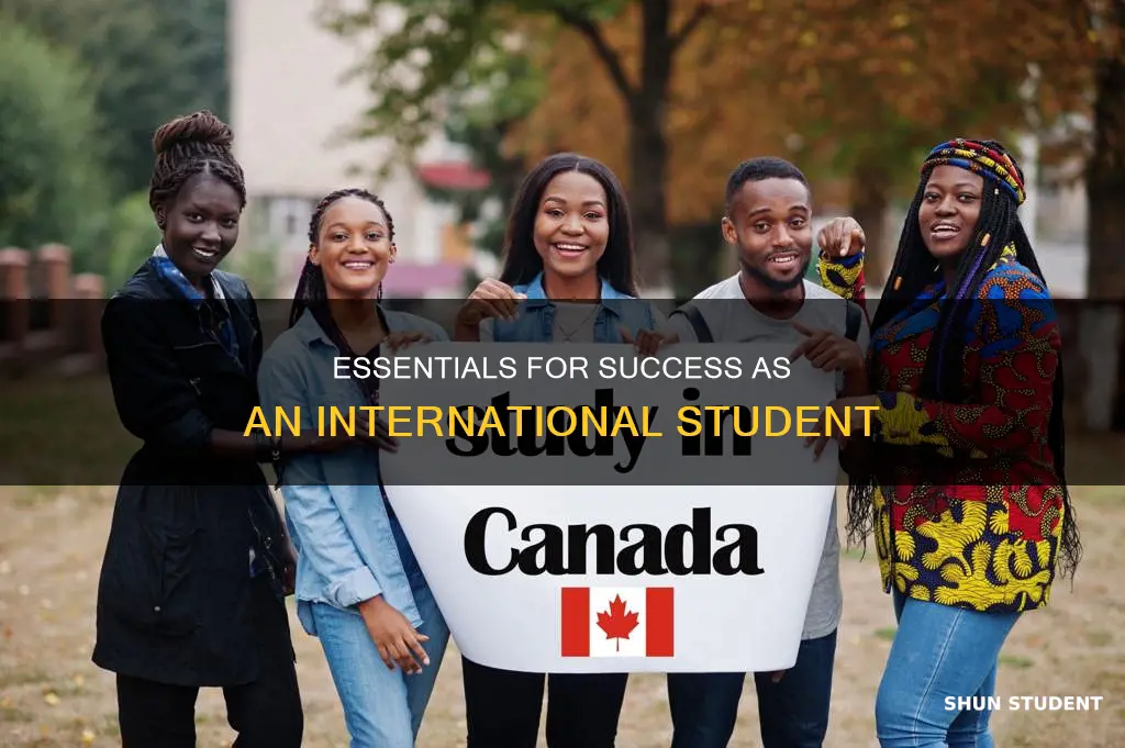 what do international students need