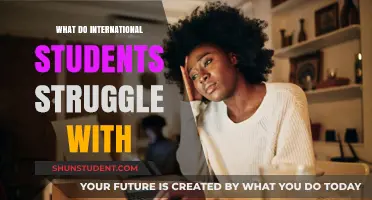 International Students: Challenges and Struggles