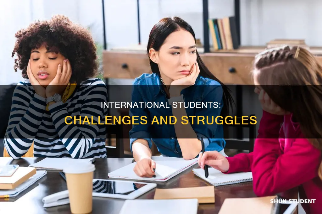 what do international students struggle with
