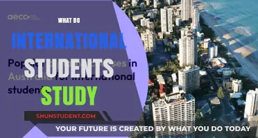 International Students: Popular Study Choices