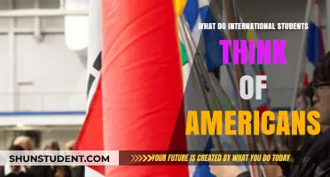 Americans Through Foreign Eyes