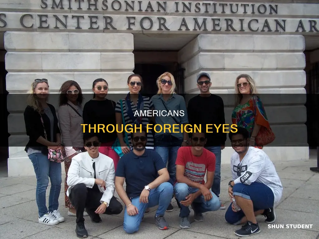 what do international students think of americans