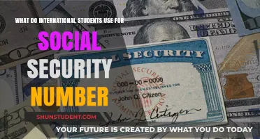 Social Security Numbers: International Students' Options