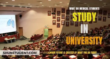 Unveiling the Core Curriculum: Medical Students' University Journey