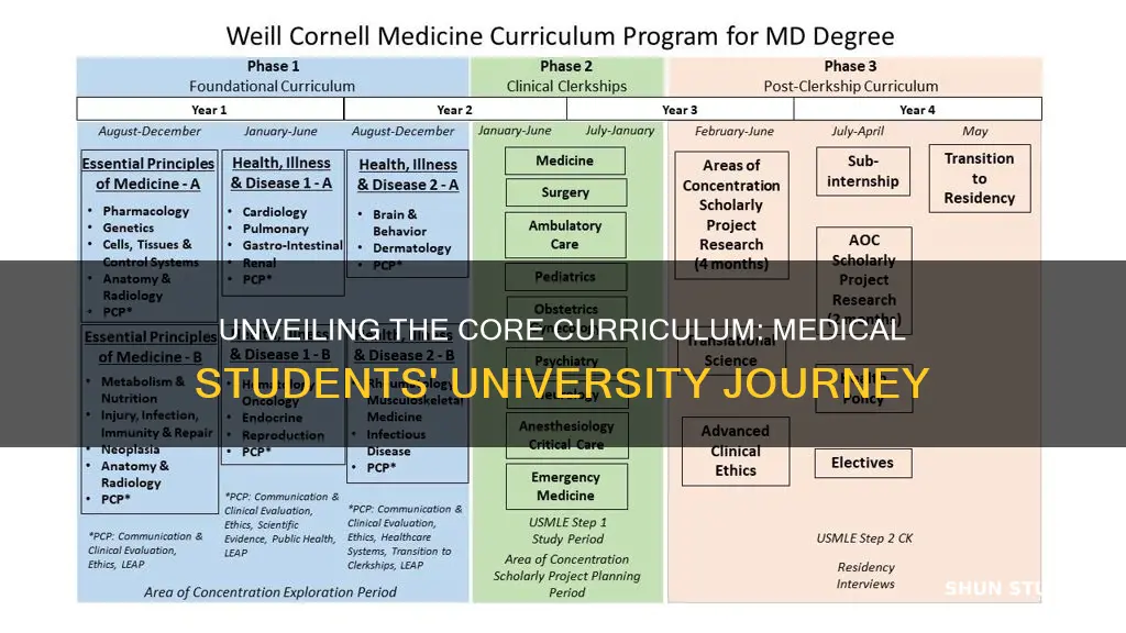 what do medical students study in university