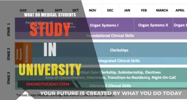 Exploring the Medical Student's University Curriculum