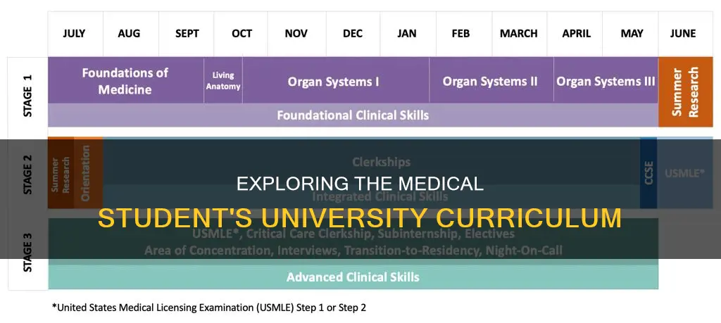 what do medical students study in university
