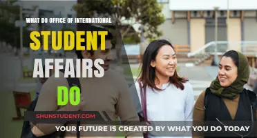 International Student Affairs: Support for Global Learners