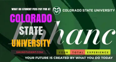 CSU Student Fees: Where Does the Money Go?