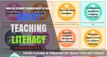 Mastering Literacy Instruction: Essential Skills for Aspiring Educators