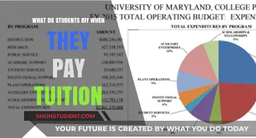 Understanding Tuition Fees: What Students Actually Pay For