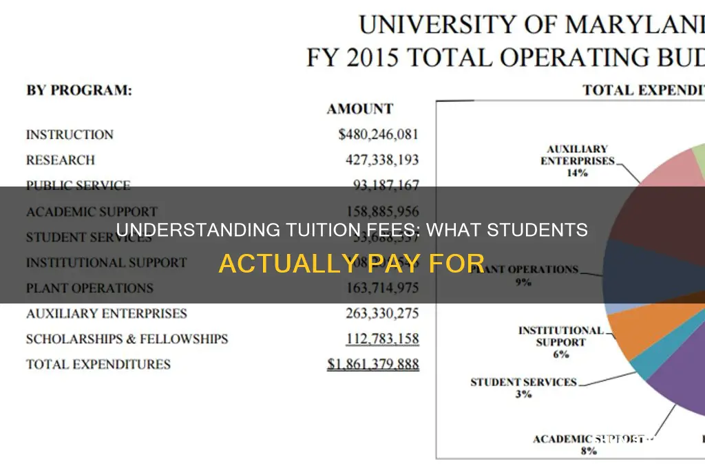 what do students biy when they pay tuition