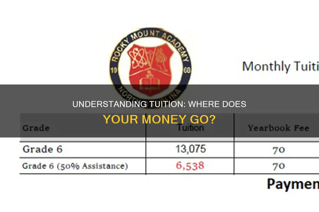 what do students buy when they pay tuition brainly