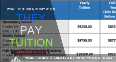 Understanding What Your Tuition Fees Actually Cover