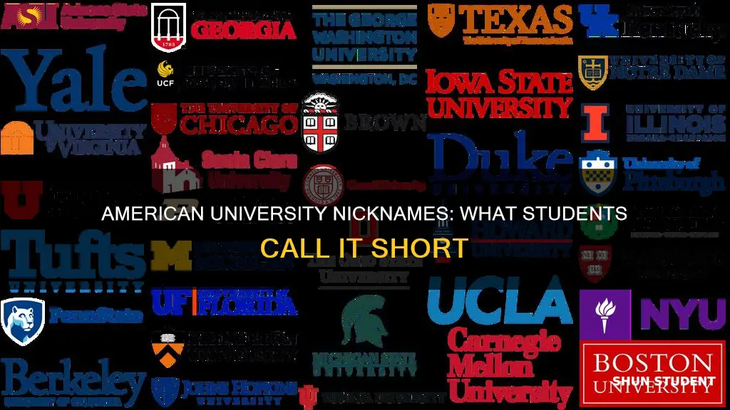 what do students call american university for short