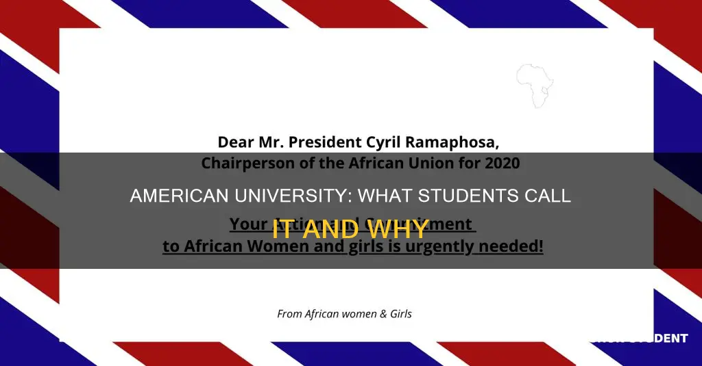 what do students call american university for short