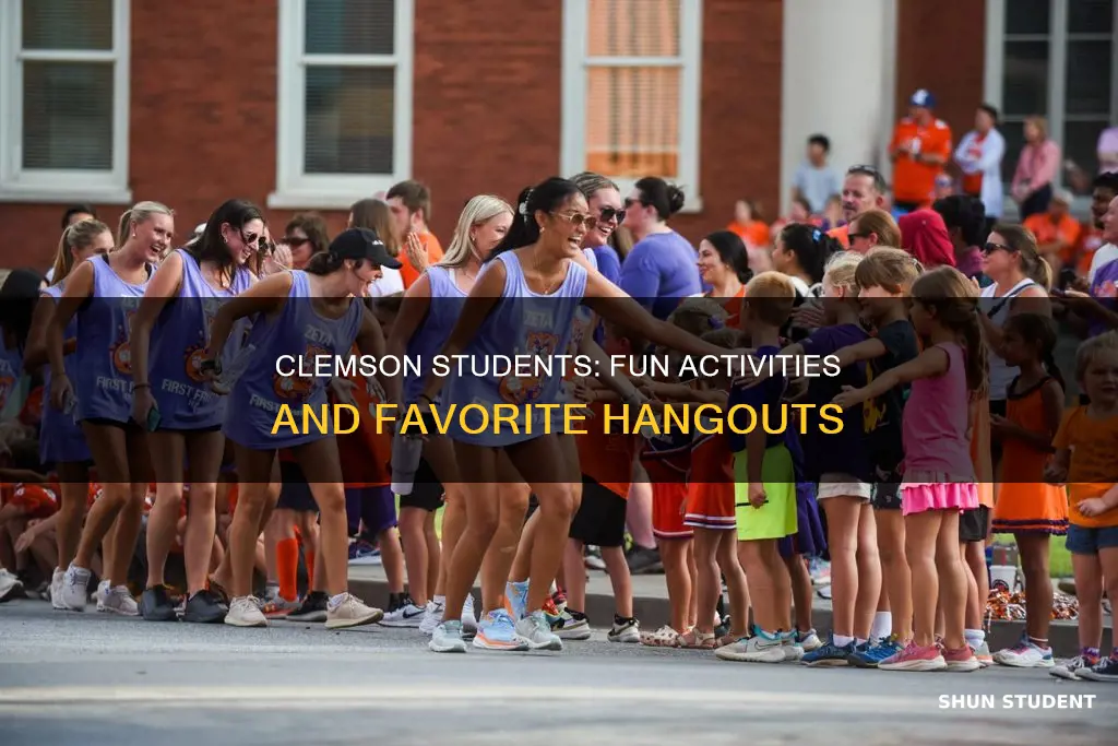 what do students do for fun at clemson university