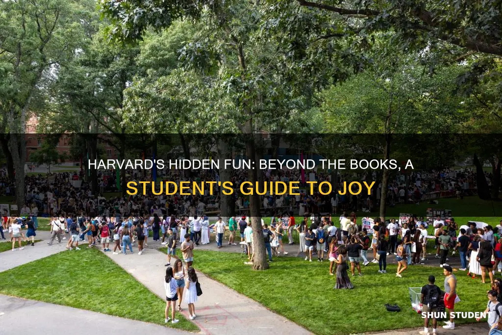 what do students do for fun at harvard university