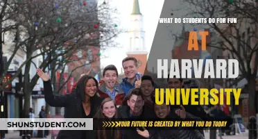 Harvard Students: Fun and Recreation on Campus