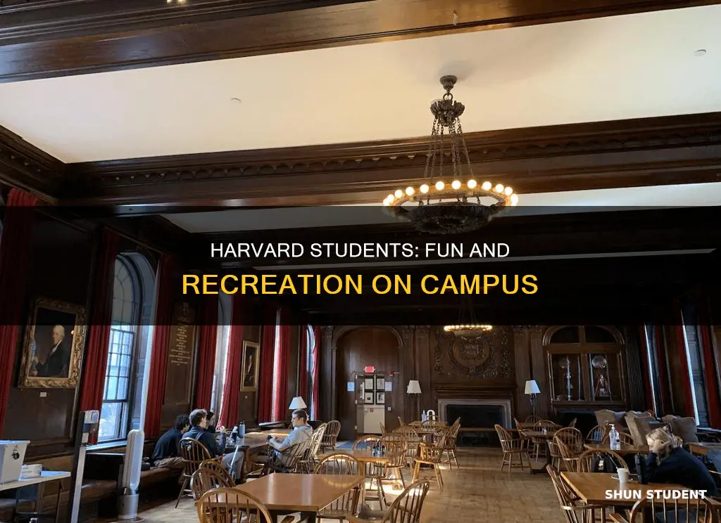 what do students do for fun at harvard university