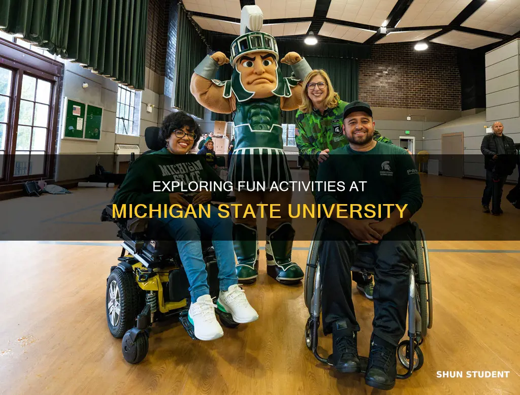 what do students do for fun at michigan state university