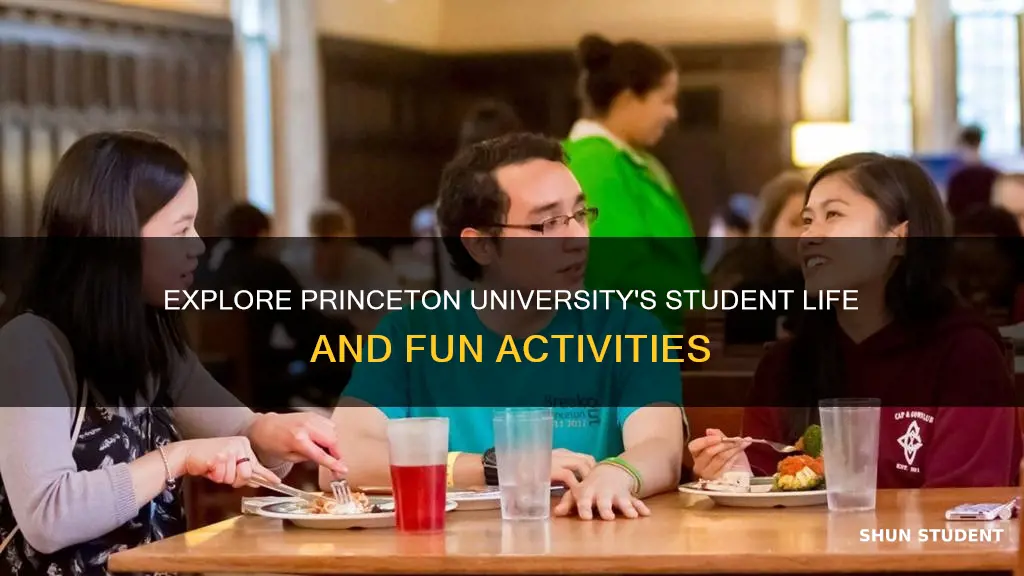 what do students do for fun at princeton university