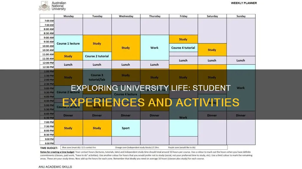 what do students do in university