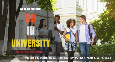 University Life: Students' Daily Activities and Pursuits