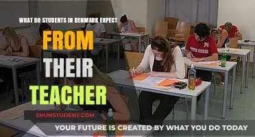 Danish Students' Expectations: What Teachers Need to Know