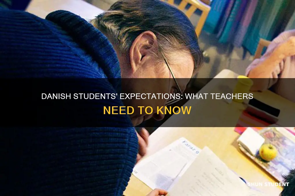 what do students in denmark expect from their teacher