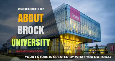 Brock University: Student Impressions and Insights