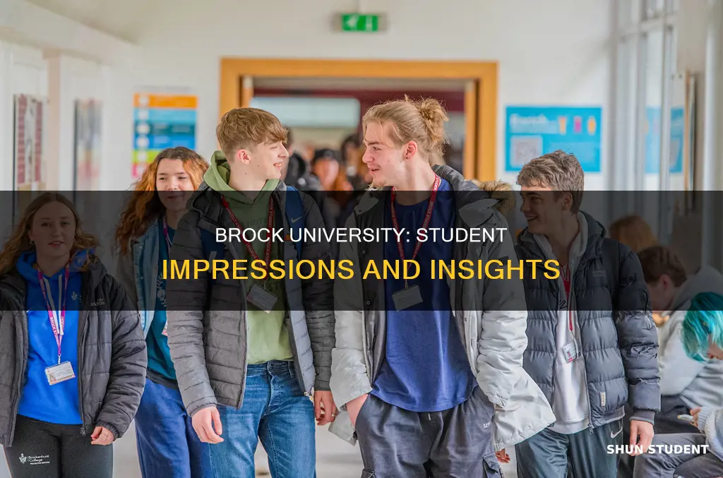 what do students say about brock university
