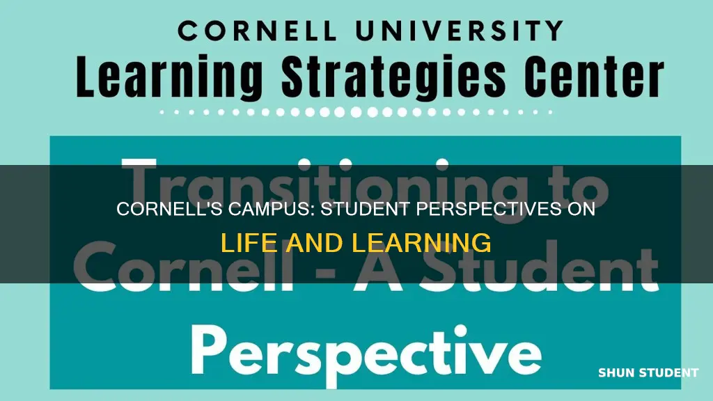 what do students think about cornell university