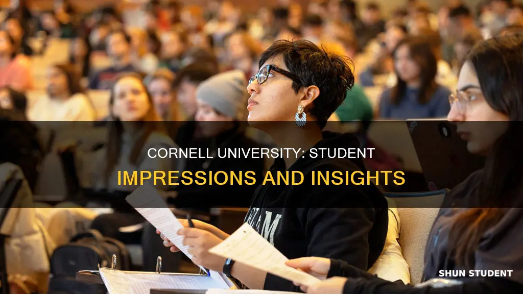 what do students think about cornell university