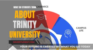 Student Perspectives: Unveiling the Realities of Life at Trinity University