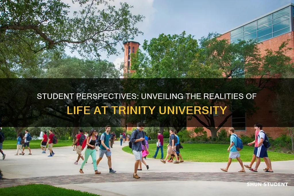 what do students think about trinity university