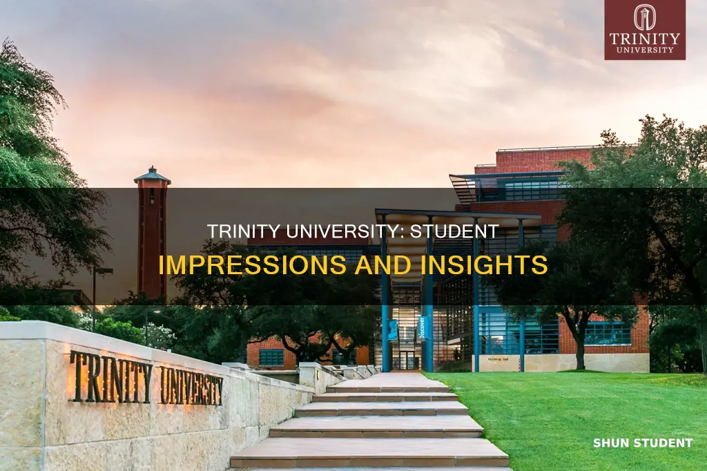 what do students think about trinity university