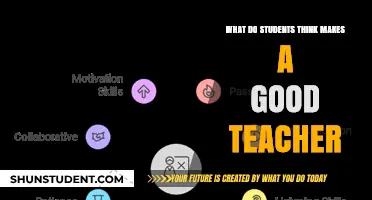 What Students Value: Key Traits of an Effective Teacher