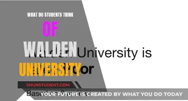 Walden University: Student Perspectives and Reviews