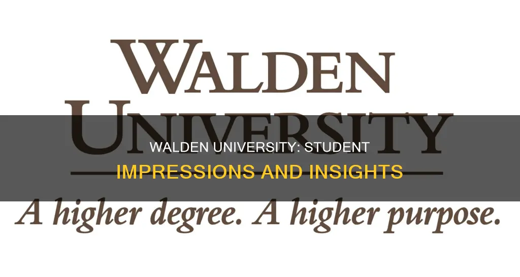 what do students think of walden university