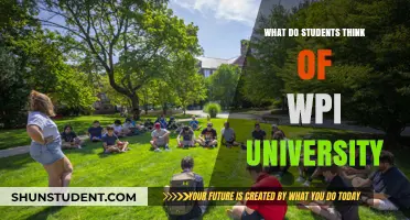 WPI University: Student Impressions and Insights