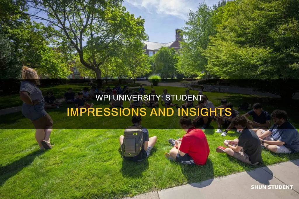 what do students think of wpi university